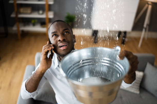  Dovesville, SC Water damage restoration Pros