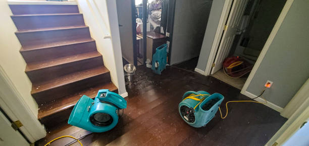Best Carpet water damage restoration  in Dovesville, SC