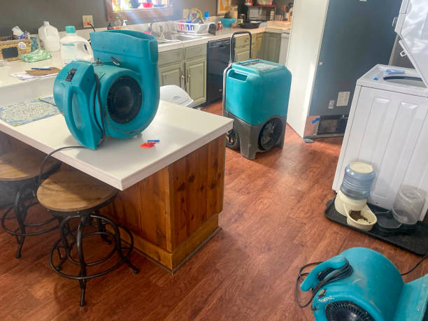 Best Local water damage restoration  in Dovesville, SC