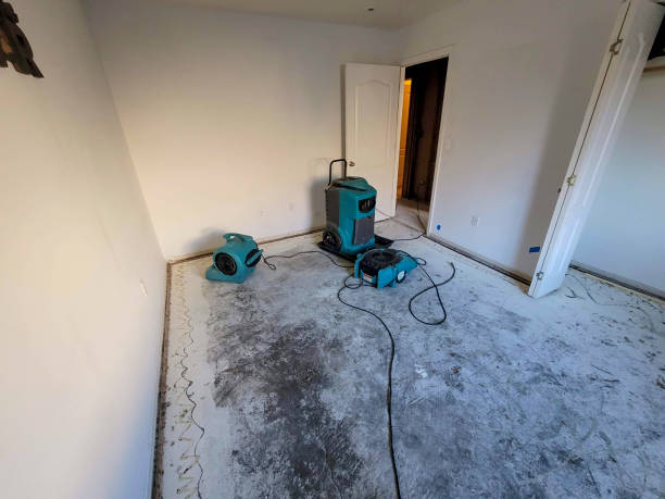 Dovesville, SC Water damage restoration Company