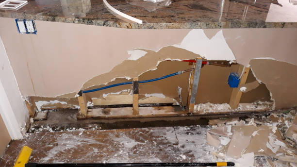 Best Flood restoration services  in Dovesville, SC