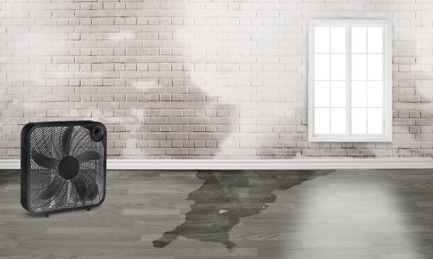 Best Commercial water damage restoration  in Dovesville, SC