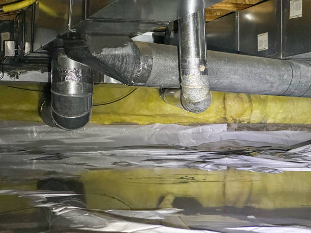 Best Water damage restoration specialists  in Dovesville, SC
