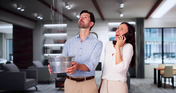 Best Flood damage cleanup  in Dovesville, SC