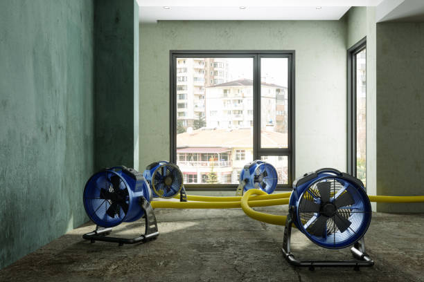 Best Commercial water damage restoration  in Dovesville, SC