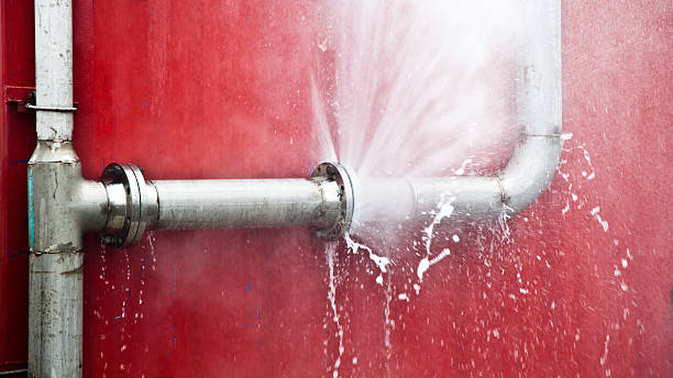 Best Water damage restoration cost  in Dovesville, SC