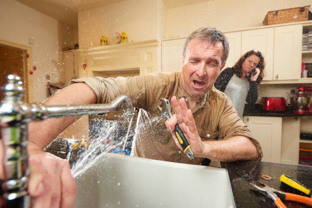 Best Mold removal after water damage  in Dovesville, SC